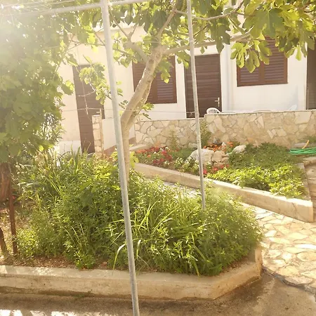 Appartement Donami
