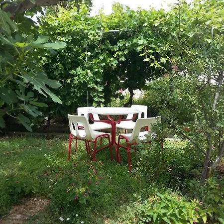 Donami Appartement *