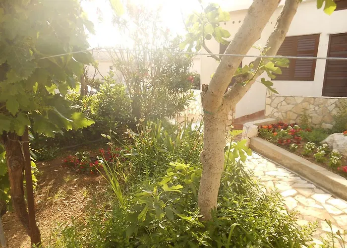 Апартаменты Donami *