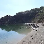 Donami 파그